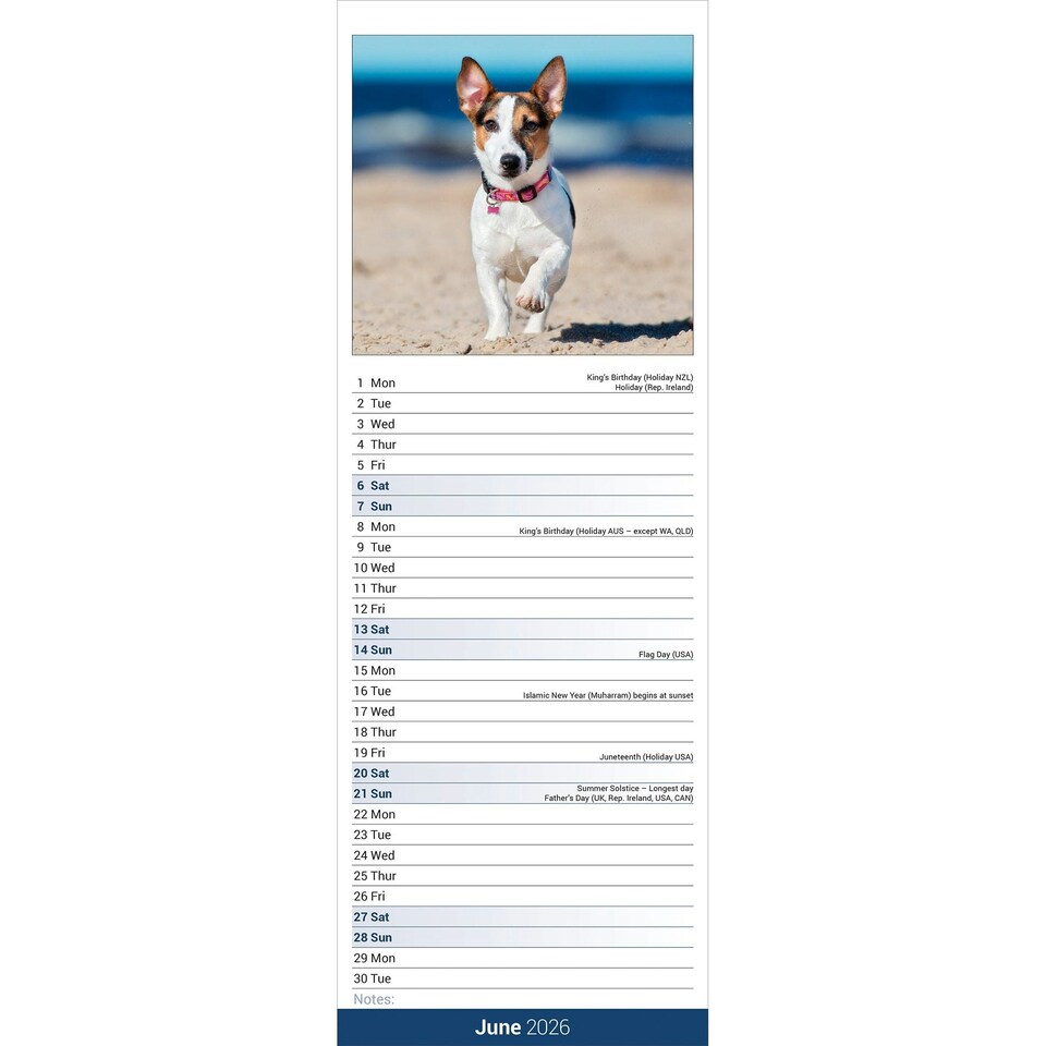 image 1 of Jack Russell Slim 2026 Calendar | Slimline Wall Calendar | Dog Breed Gift | Plastic Free Packaging | by Avonside Publishing [Calendar] Avonside Publishing Ltd