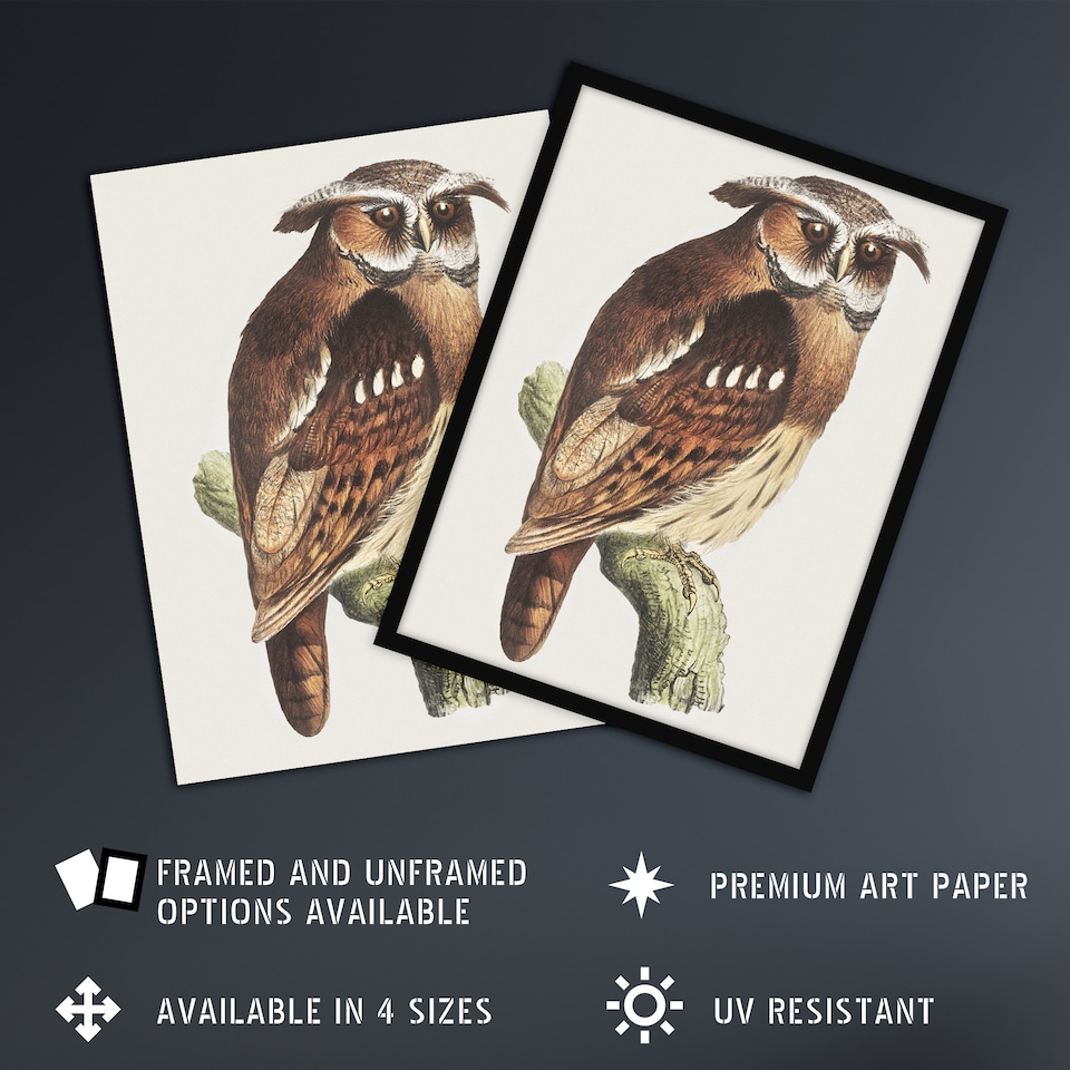 image 1 of Eagle Owl Perched on a Branch Vintage Wall Art Print van Hoytema 18x24"