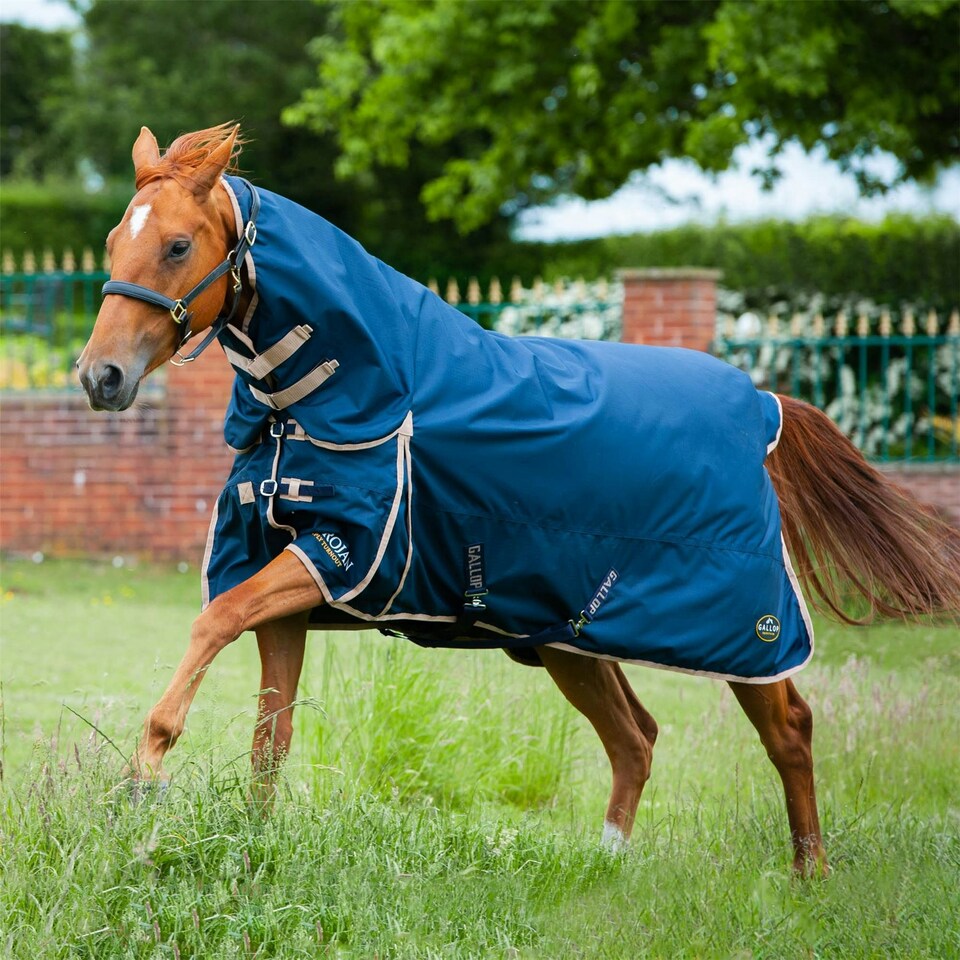 image 1 of Gallop Equestrian Trojan 100 Combo Turnout Red | Size: 4ft 9
Colour: Navy/Red