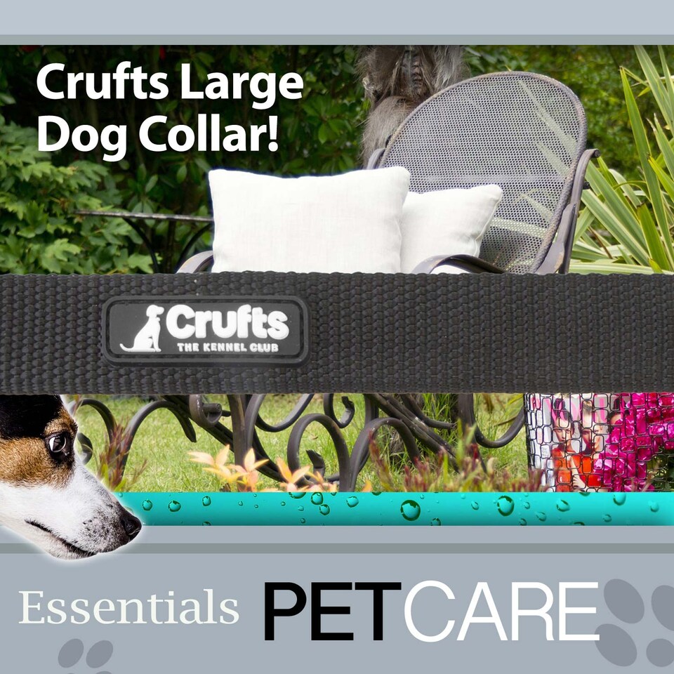 image 1 of Crufts Large Black Nylon Dog Collar - Adjustable 40cm, 2.5cm Wide