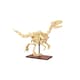 image 2 of CaDa Dinosaur Fossils Velociraptor 256 Piece Construction Set