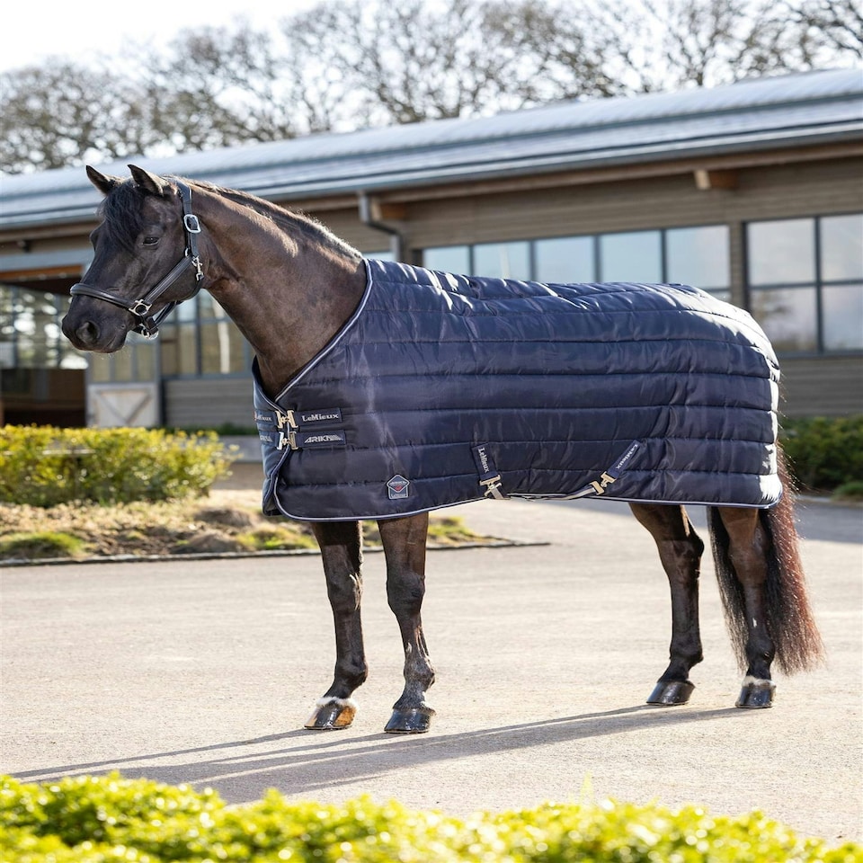 image 1 of LeMieux Arika Stable-Tek 350g Blue | 5ft 6