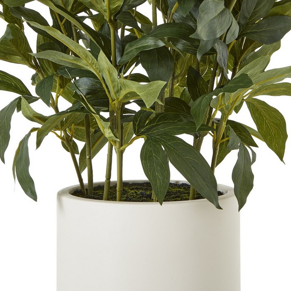 image 1 of Large Peony Plant in Pot - Plastic - L46 x W46 x H71 cm - White
