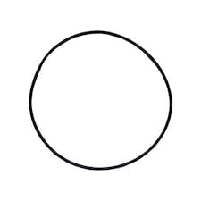 Plastica Endurance Filter Lid O - Ring