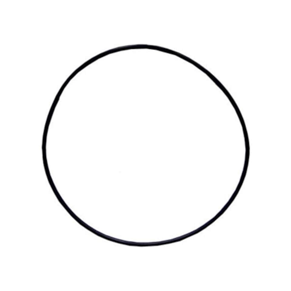 Plastica Endurance Filter Lid O - Ring