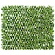 image 1 of Primrose Extendable Artificial Flower Outdoor Screening Trellis Brown 1m x 2m