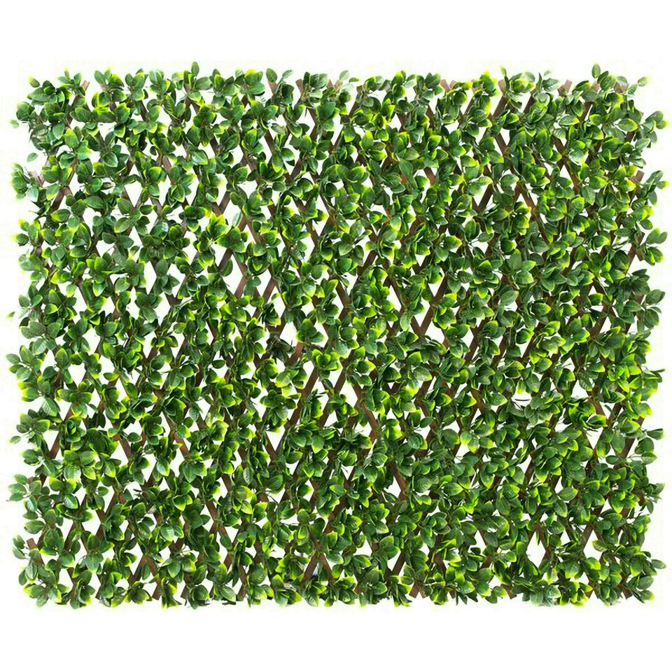 image 1 of Primrose Extendable Artificial Flower Outdoor Screening Trellis Brown 1m x 2m