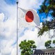 image 6 of Japan Flag 5x3ft With Eyelets Multi