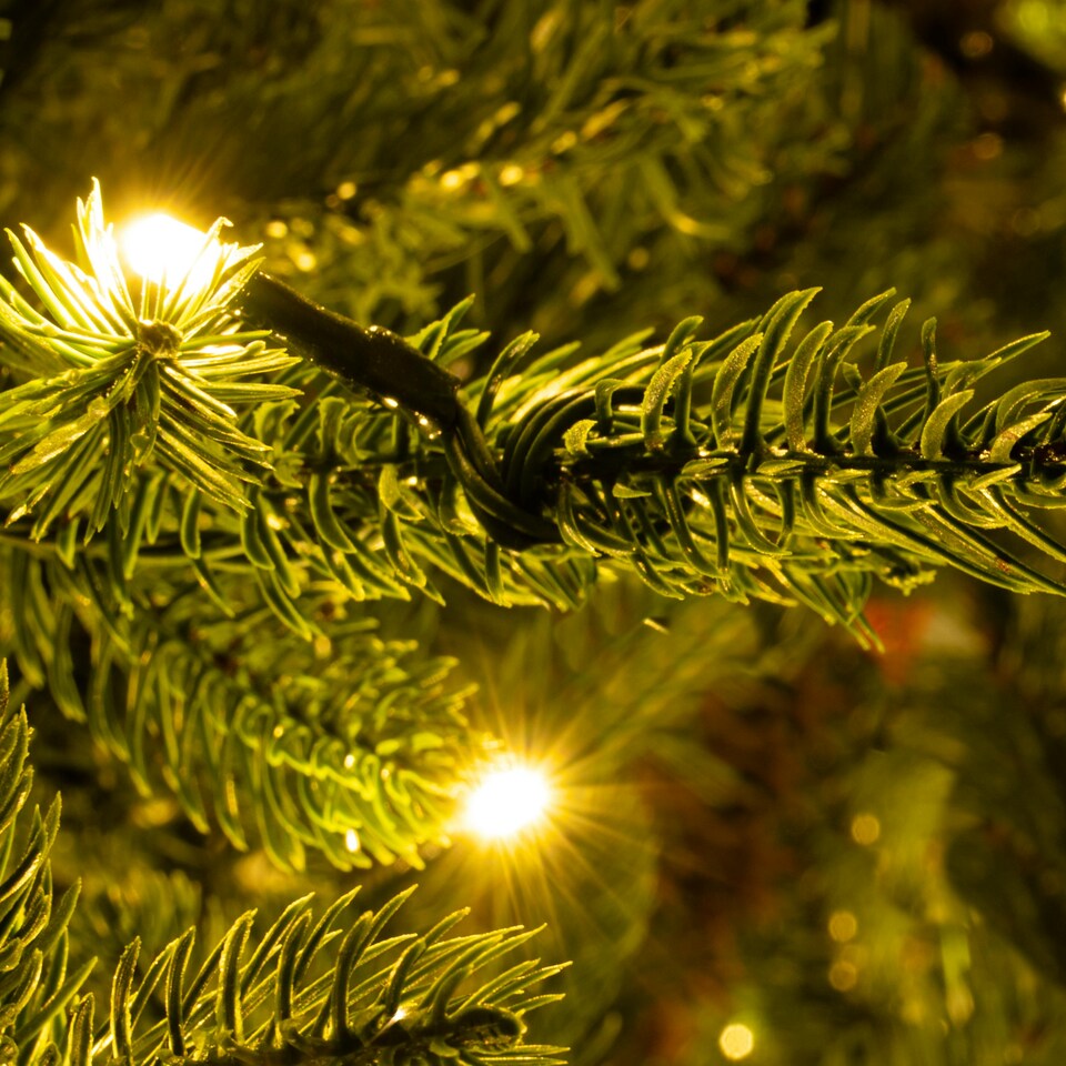 image 1 of Christmas Tree World  9ft/270cm Pre-lit Ultra Mountain Pine