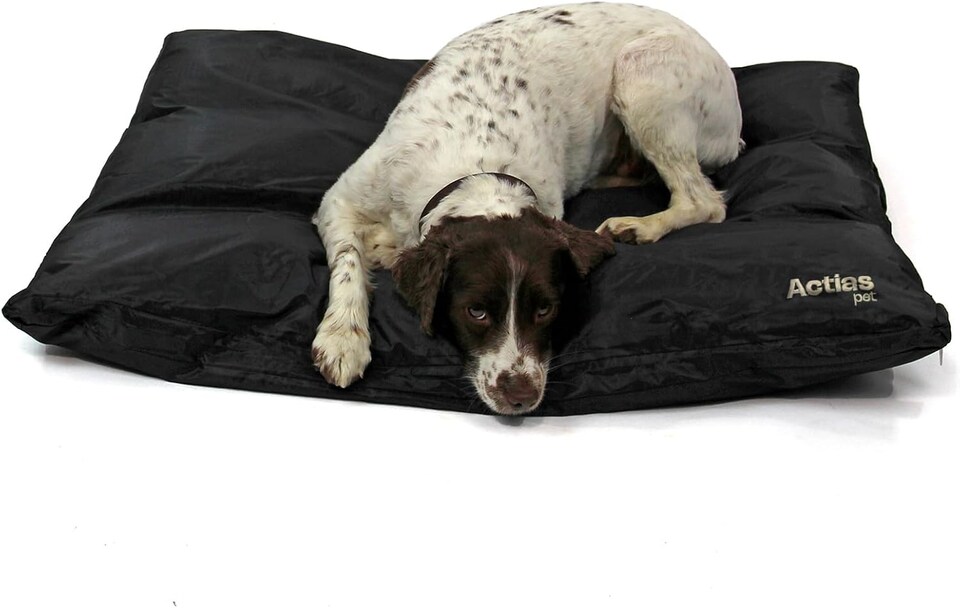 image 1 of Actiaspet - Large Waterproof Dog Bed (Black, Large)