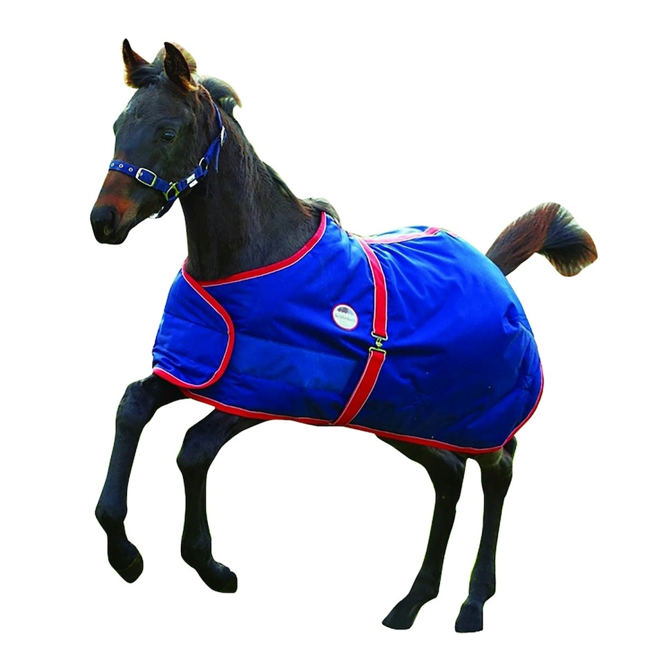image 1 of Weatherbeeta 1200d Foal Standard Neck Rug - Navy/Red/White - 3 ft