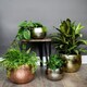 image 6 of Hammered Bowl Planter - Iron - L19 x W19 x H14 cm - Copper | Copper