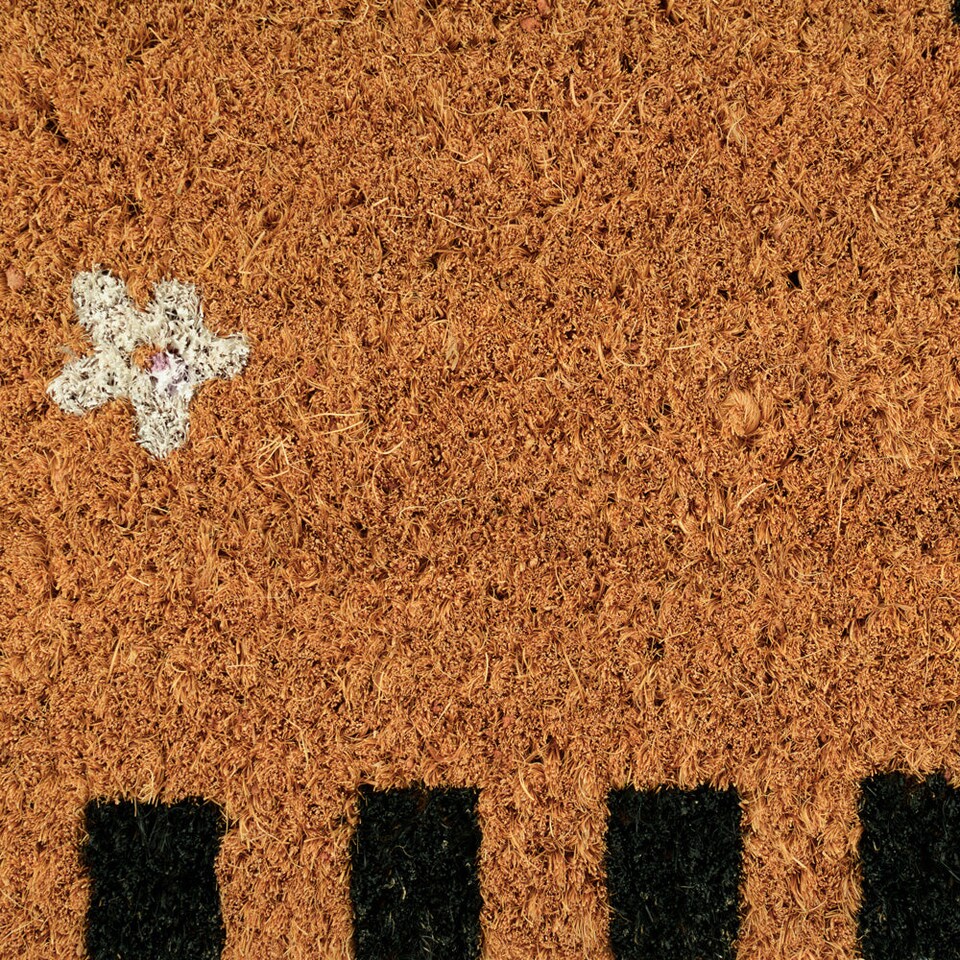 image 1 of KUKOON Spring Dog Coir Doormat 45cm x 120cm