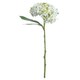 image 1 of Hill Interiors Artificial Lace Cap Hydrangea Stem - Whiite - One Size
