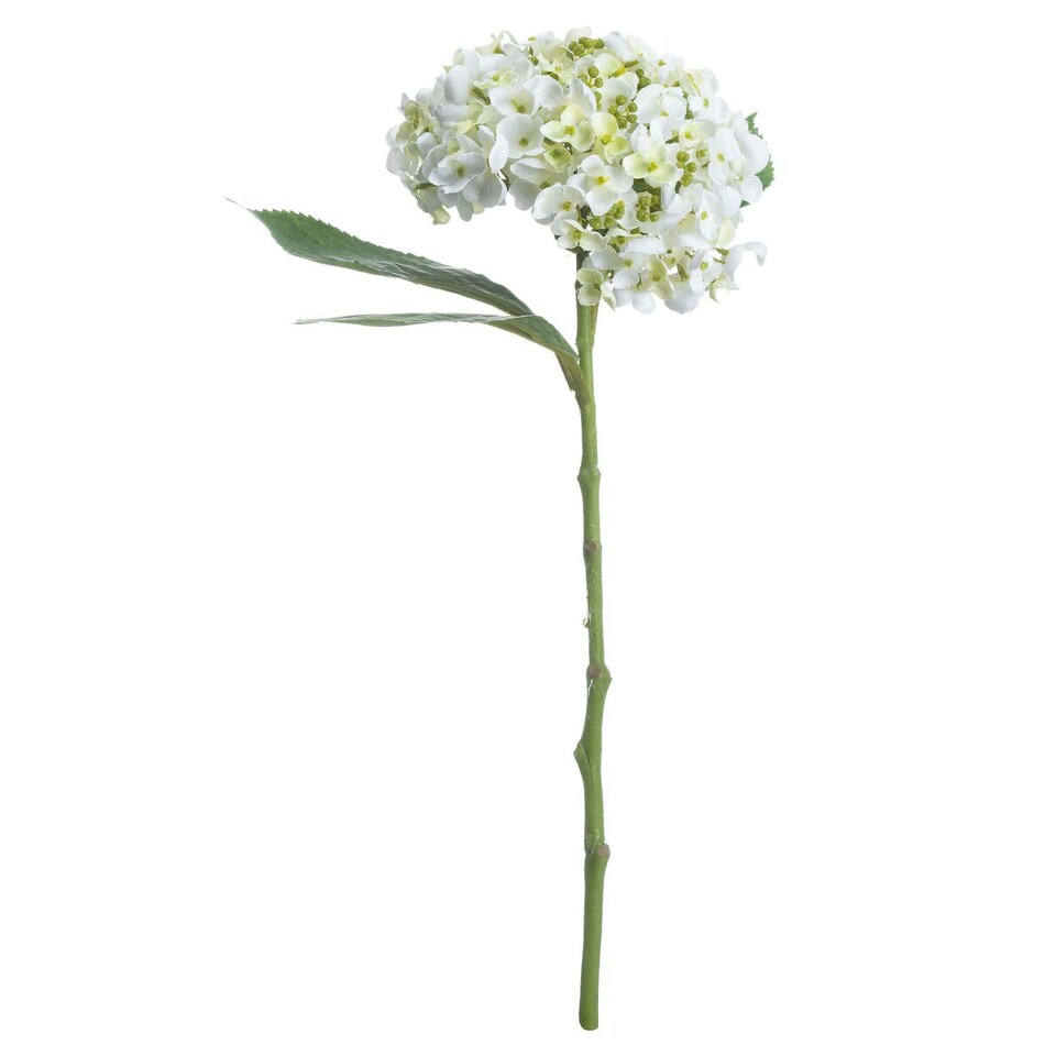 image 1 of Hill Interiors Artificial Lace Cap Hydrangea Stem - Whiite - One Size