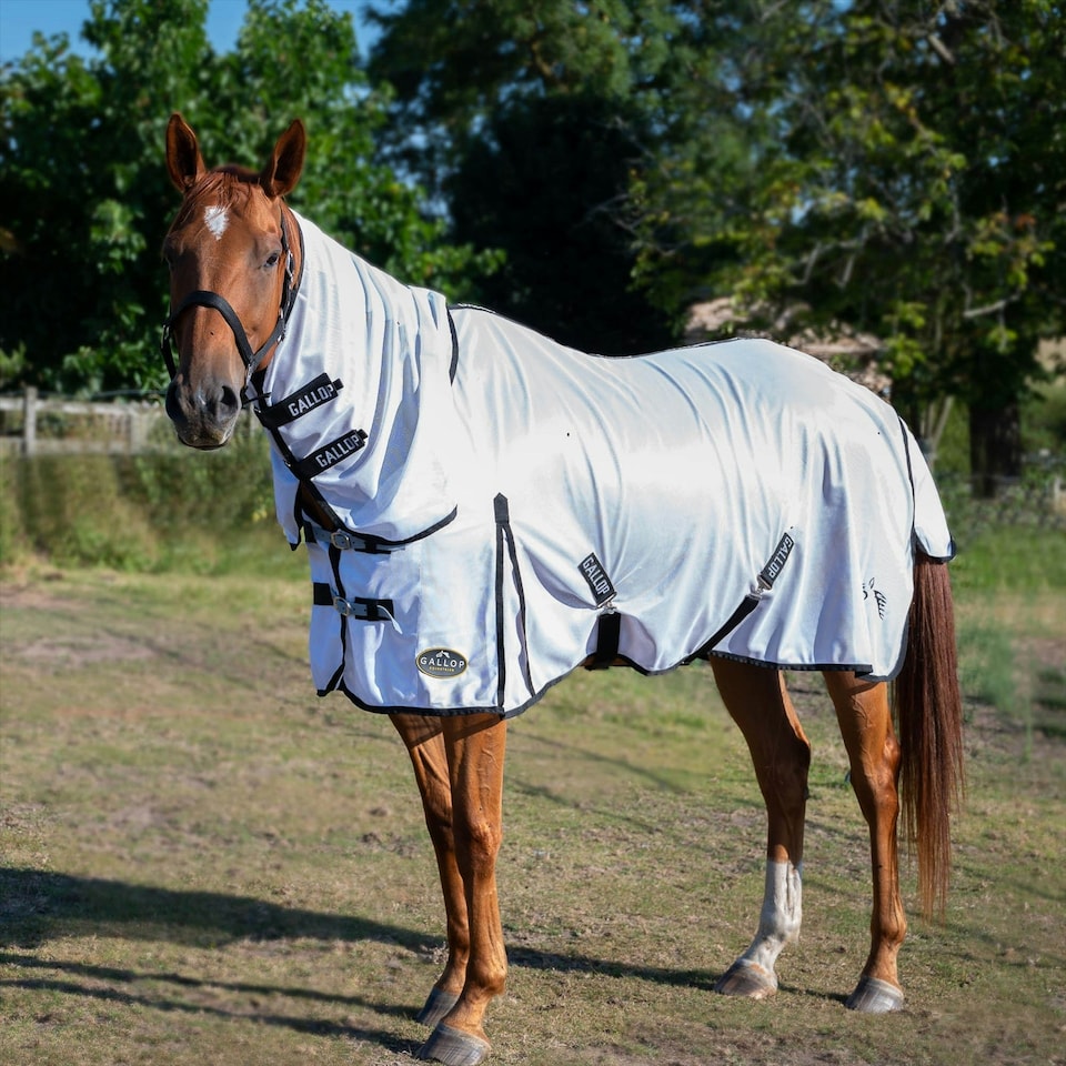 image 1 of Gallop Equestrian Fly Mesh Combo Rug Cream | Size: 6ft 6
Colour: Beige/Sky