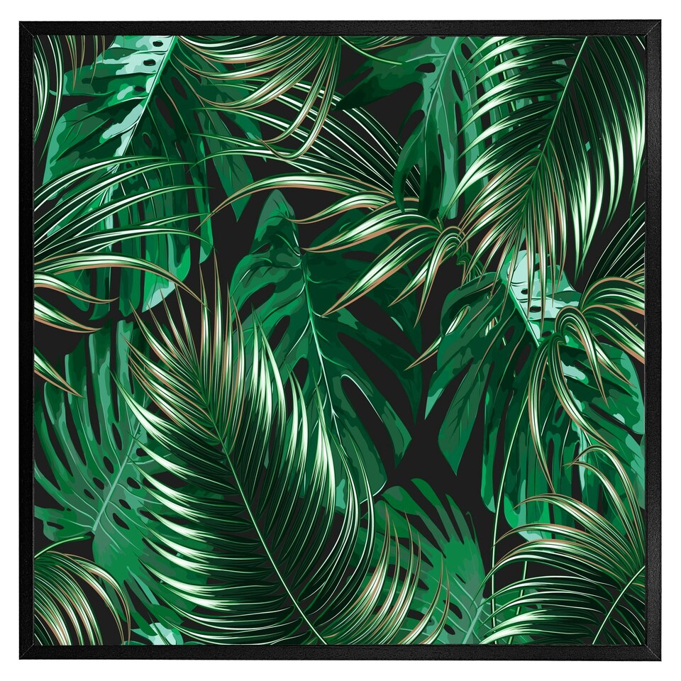 image 1 of Tropical leaves on black (Picture Frame) White | XL