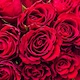 image 3 of 50 Classic Red Roses
