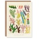 image 1 of William Saville Kent Art Card Great Barrier Reef Corals