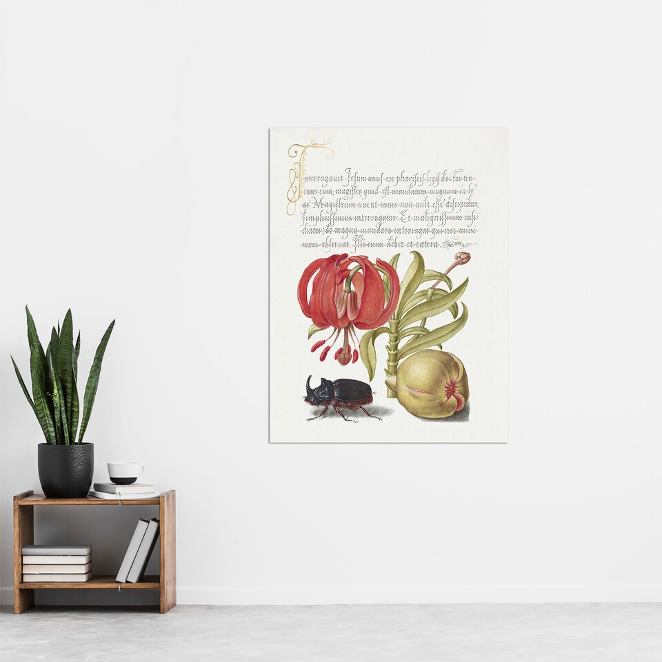 image 1 of Turks Cap Lily Fig and Beetle Calligraphy Huge Wall Art Poster Print 24X32"