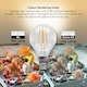 image 6 of BELL Lighting E14 Dimmable LED Filament Golf Ball 4.7W Light Bulb Warm White 2700K