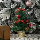 image 9 of 30cm Premier Green Mini Christmas Tree Decorated in Red & Gold