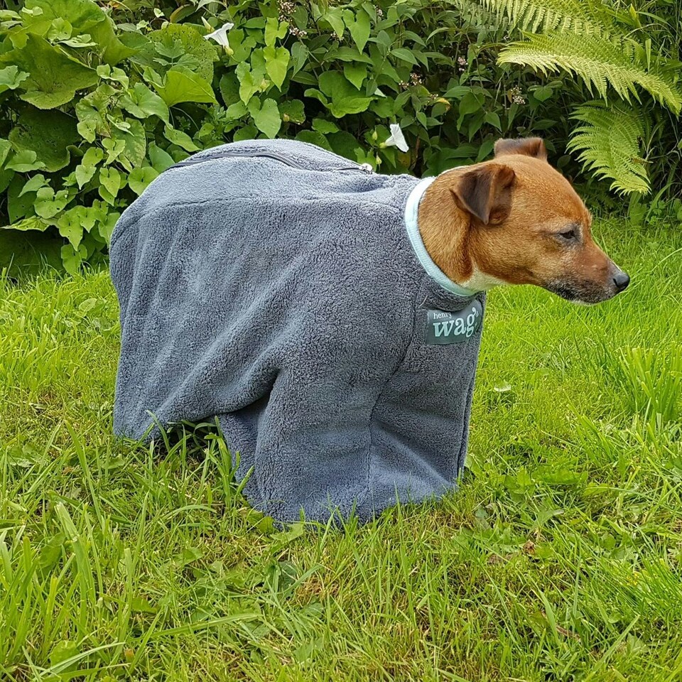 image 1 of Henry Wag Dog Drying Coat - Grey - Small