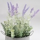 image 3 of Scottish Everlastings 37.5cm Artificial Lavender in Iron Pot