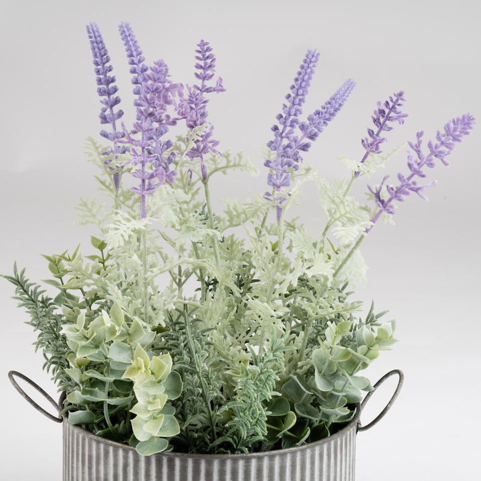 image 1 of Scottish Everlastings 37.5cm Artificial Lavender in Iron Pot