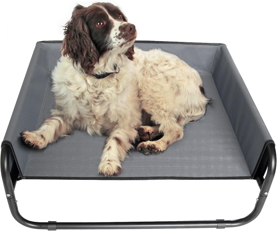 image 1 of Actiaspet Elevated Dog Bed Steel Frame Raised Pet Cot Black or Grey (Grey, Medium)