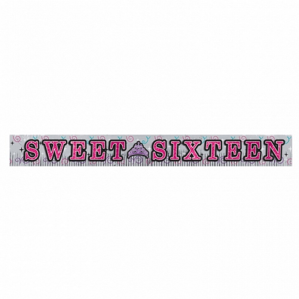 Amscan Sweet 16 Birthday Party Fringed Glitter Banner - Pink/Silver - 2.5m