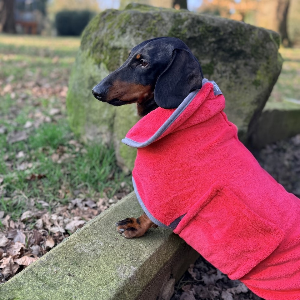 image 1 of Henry Wag X-Large Red Dog Drying Coat