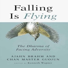 Falling Is Flying