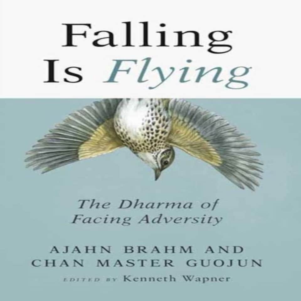 Falling Is Flying