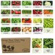 image 2 of Pronto Seed Vegetable Seeds Bumper Pack – 21 Popular Varieties, Over 1,700 Seeds for Growing Your Own Veg