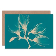 Magnolia Branch Xray Photo Teal Blue Floral Art Card