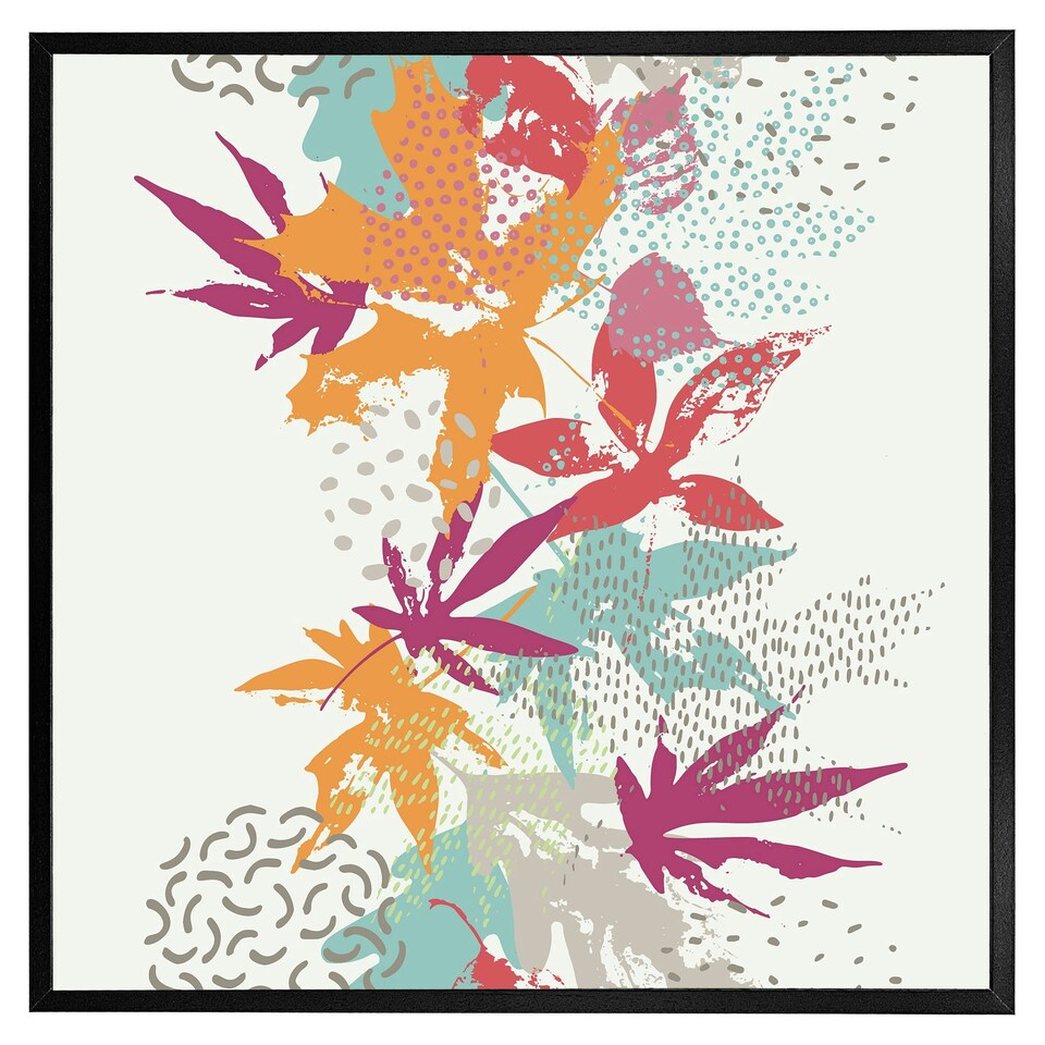 image 1 of Japanese maple (Picture Frame) Grey | L
