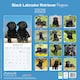 image 2 of Black Labrador Puppies 2026 Calendar | Square Wall Calendar | Dog Breed Gift | Plastic Free Packaging | by Avonside Publishing
