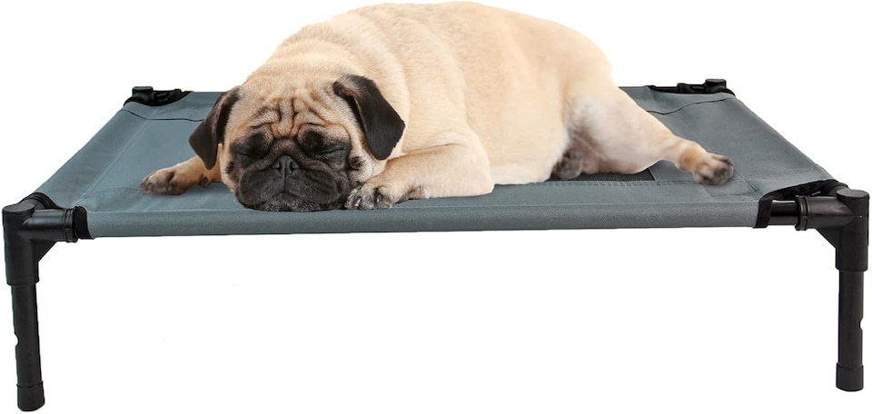 image 1 of Actiaspet Elevated Dog Bed Oxford Mesh Pet Cot Indoor or Outdoor (Grey, Medium)