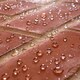 image 2 of Stormdry Masonry Waterproofing Cream 5L + Soluguard Biocide - Ultimate Home Protection
