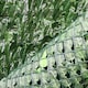 image 5 of Primrose Artificial Ivy Leaf Screening Hedge Roll Privacy Screen W3m x H1m