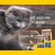 image 4 of Josera Marinesse complete adult cat food | Grain-free | Single animal protein | Salmon | Hypoallergenic | Sensitive | Anti-Hairball | Urinary pH | 0.4kg
