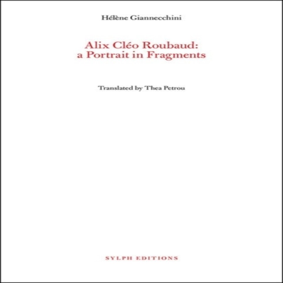 A Portrait In Fragmnets