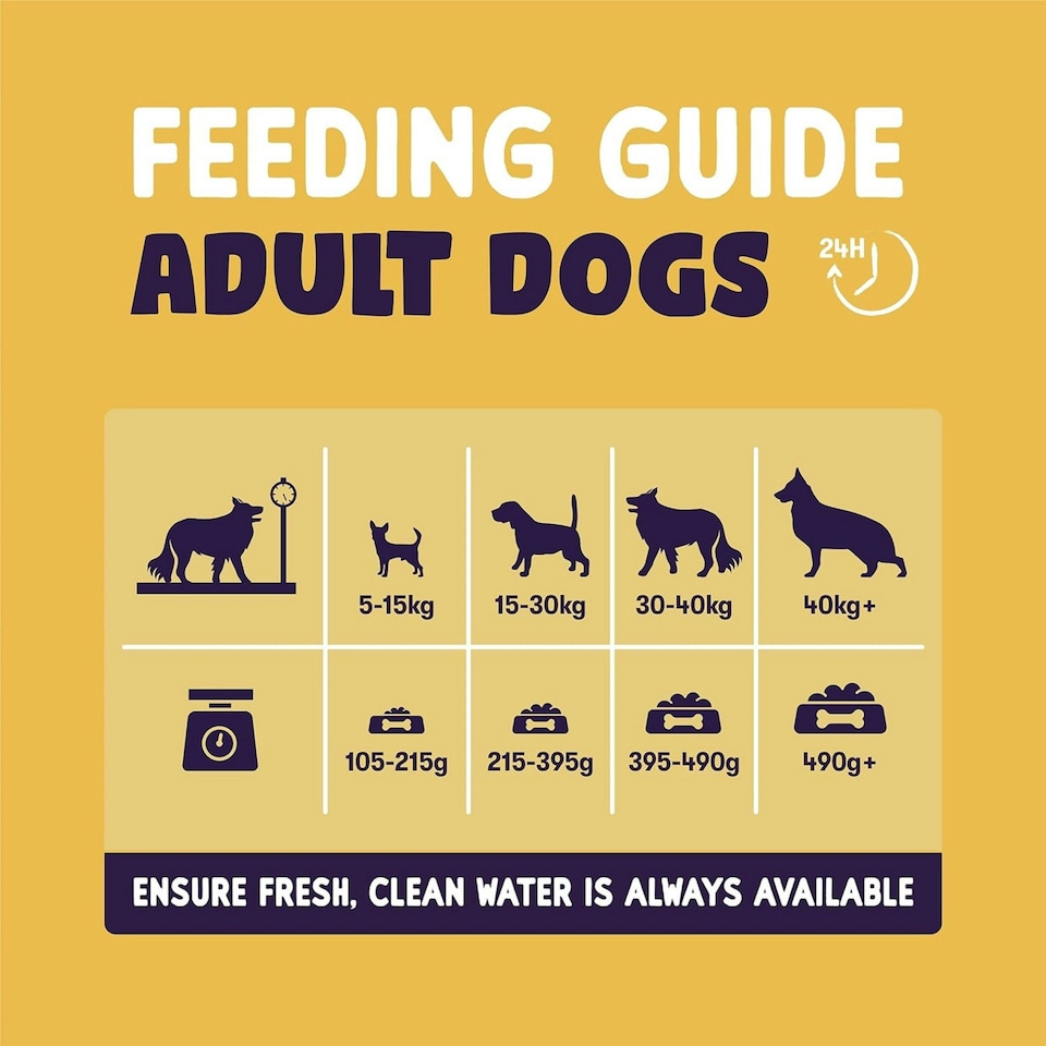 image 1 of Burgess Sensitive Adult Dog Turkey - 12.5KG