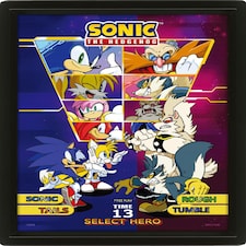 Sonic The Hedgehog (Select Your Fighter) Framed 3D - SONIC THE HEDGEHOG