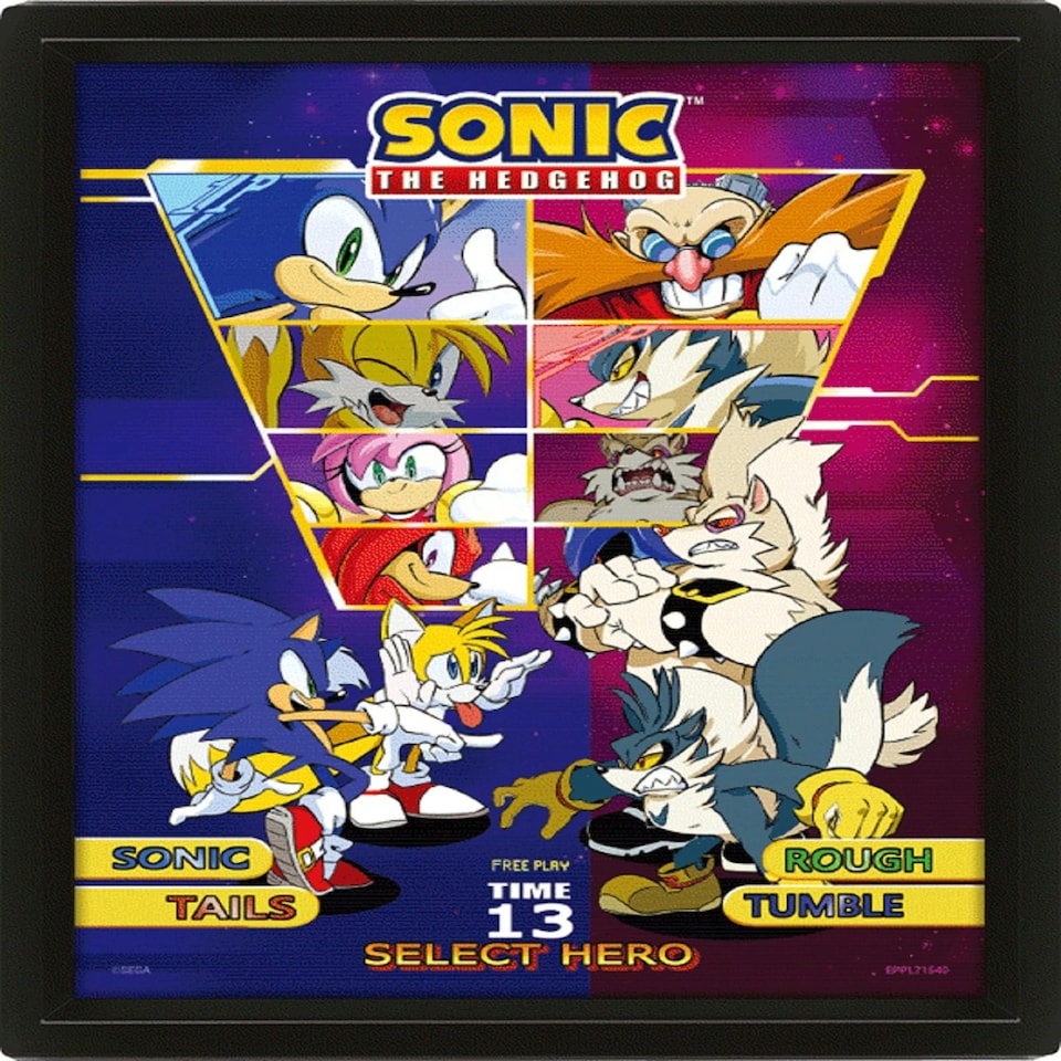 Sonic The Hedgehog (Select Your Fighter) Framed 3D - SONIC THE HEDGEHOG