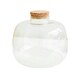 image 5 of Bowl Shape Terrarium DIY Kit Clear