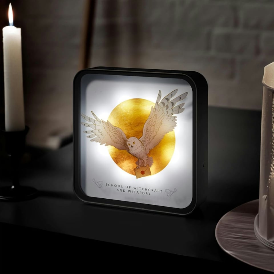 image 1 of Harry Potter Hedwig Perspex Desk Lamp White