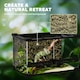 image 5 of PawHut 10L Glass Terrarium, Reptile Vivarium with Stone Background, Black
