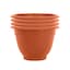 Terracotta - Selected